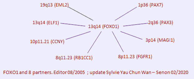 http://atlasgeneticsoncology.org//Genes/EWSR1ID85.html